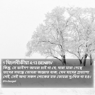 1 থিচলনীকীয়া 4:13 BENIRV Bible Verse Image