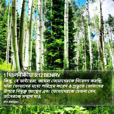 1 থিচলনীকীয়া 5:12 BENIRV Bible Verse Image
