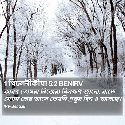 1 থিচলনীকীয়া 5:2 BENIRV Bible Verse Image
