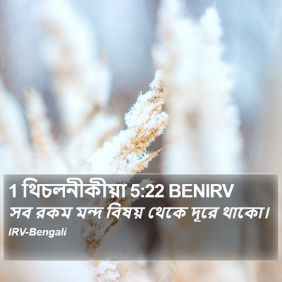1 থিচলনীকীয়া 5:22 BENIRV Bible Verse Image