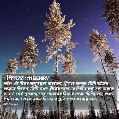 1 পিতরের 1:11 BENIRV Bible Verse Image