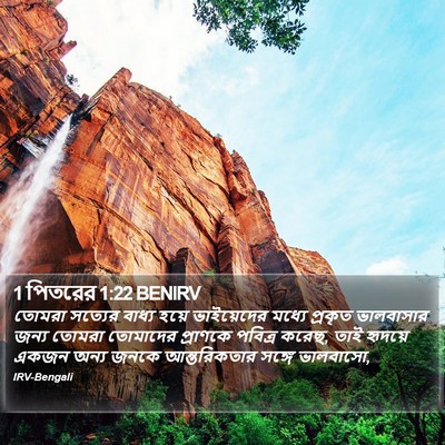 1 পিতরের 1:22 BENIRV Bible Verse Image