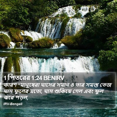 1 পিতরের 1:24 BENIRV Bible Verse Image