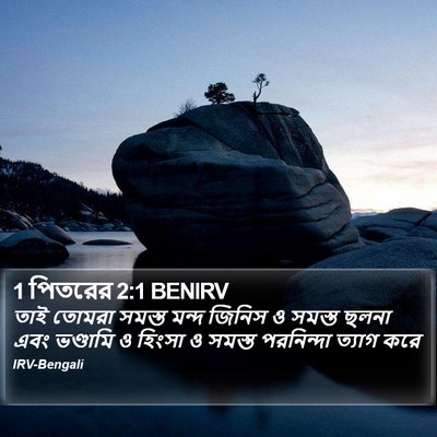 1 পিতরের 2:1 BENIRV Bible Verse Image