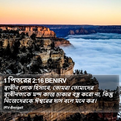 1 পিতরের 2:16 BENIRV Bible Verse Image