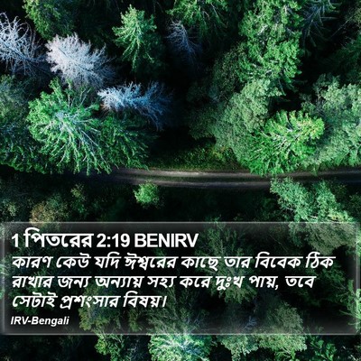 1 পিতরের 2:19 BENIRV Bible Verse Image