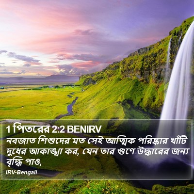 1 পিতরের 2:2 BENIRV Bible Verse Image