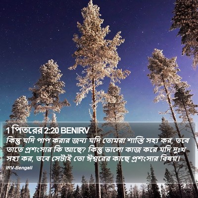 1 পিতরের 2:20 BENIRV Bible Verse Image