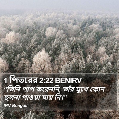 1 পিতরের 2:22 BENIRV Bible Verse Image