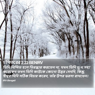 1 পিতরের 2:23 BENIRV Bible Verse Image