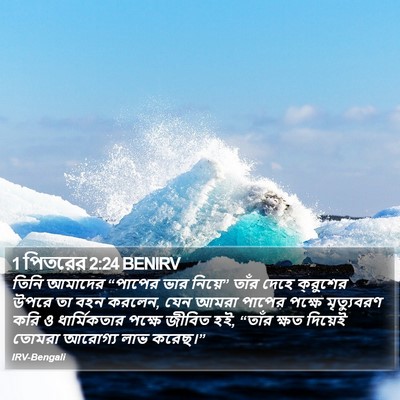 1 পিতরের 2:24 BENIRV Bible Verse Image