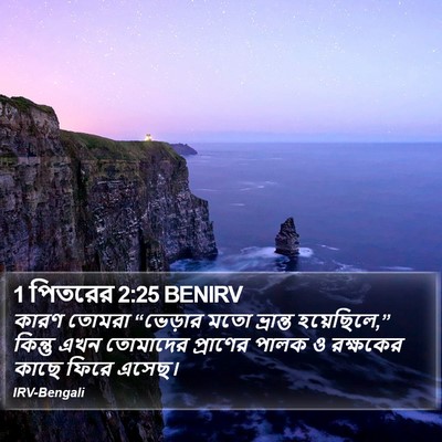 1 পিতরের 2:25 BENIRV Bible Verse Image