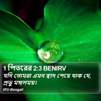 1 পিতরের 2:3 BENIRV Bible Verse Image