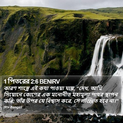 1 পিতরের 2:6 BENIRV Bible Verse Image