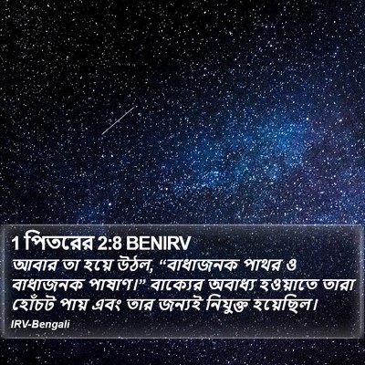 1 পিতরের 2:8 BENIRV Bible Verse Image