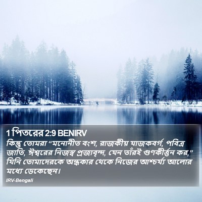 1 পিতরের 2:9 BENIRV Bible Verse Image