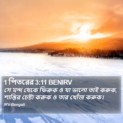 1 পিতরের 3:11 BENIRV Bible Verse Image