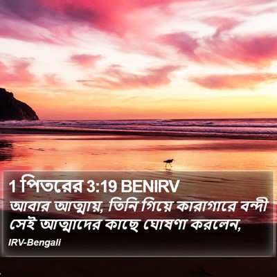1 পিতরের 3:19 BENIRV Bible Verse Image