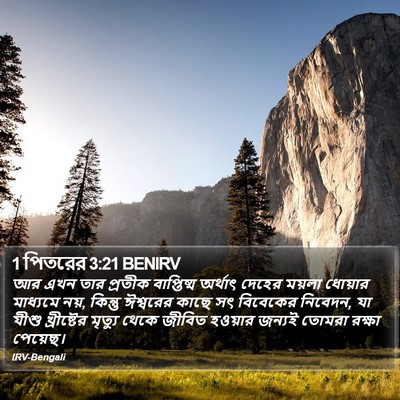 1 পিতরের 3:21 BENIRV Bible Verse Image