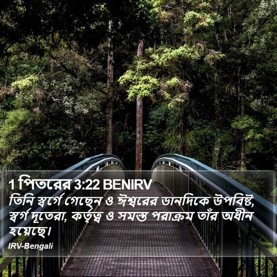 1 পিতরের 3:22 BENIRV Bible Verse Image