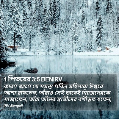 1 পিতরের 3:5 BENIRV Bible Verse Image