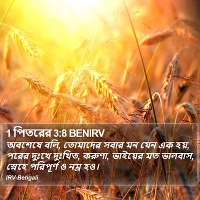 1 পিতরের 3:8 BENIRV Bible Verse Image