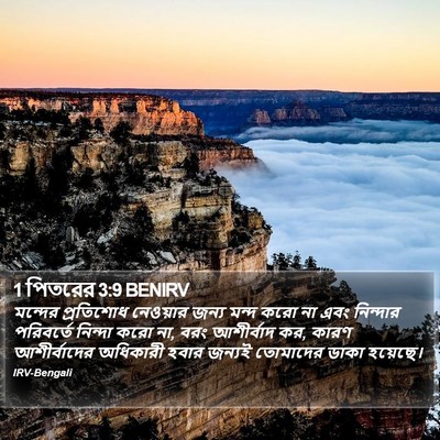 1 পিতরের 3:9 BENIRV Bible Verse Image