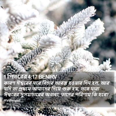 1 পিতরের 4:17 BENIRV Bible Verse Image