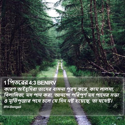 1 পিতরের 4:3 BENIRV Bible Verse Image