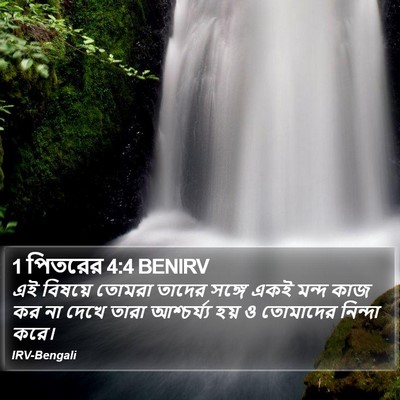 1 পিতরের 4:4 BENIRV Bible Verse Image