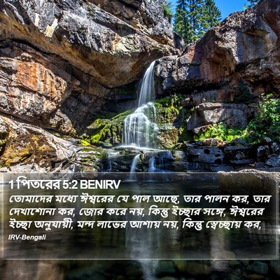 1 পিতরের 5:2 BENIRV Bible Verse Image