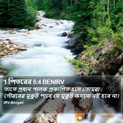 1 পিতরের 5:4 BENIRV Bible Verse Image