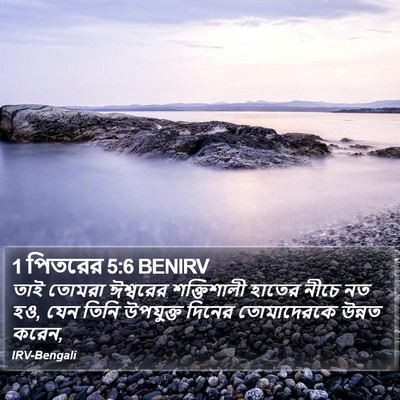 1 পিতরের 5:6 BENIRV Bible Verse Image