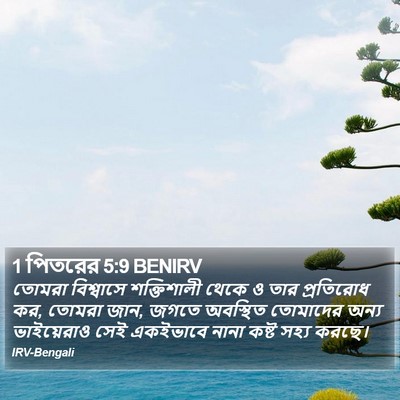 1 পিতরের 5:9 BENIRV Bible Verse Image