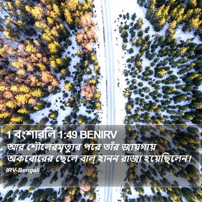 1 বংশাৱলি 1:49 BENIRV Bible Verse Image