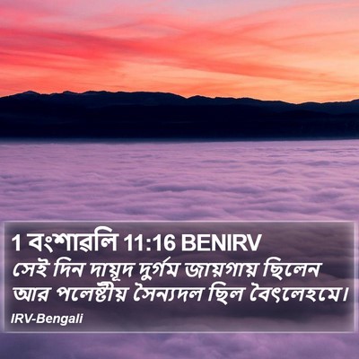 1 বংশাৱলি 11:16 BENIRV Bible Verse Image