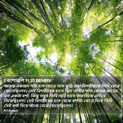 1 বংশাৱলি 11:23 BENIRV Bible Verse Image