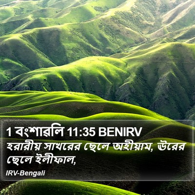 1 বংশাৱলি 11:35 BENIRV Bible Verse Image