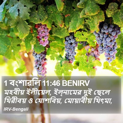1 বংশাৱলি 11:46 BENIRV Bible Verse Image
