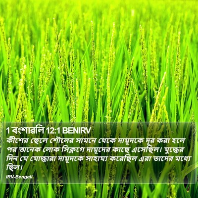 1 বংশাৱলি 12:1 BENIRV Bible Verse Image