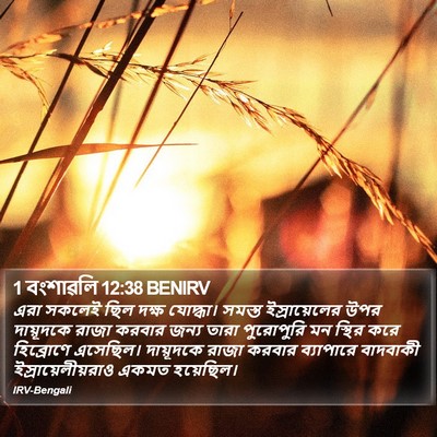 1 বংশাৱলি 12:38 BENIRV Bible Verse Image