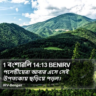1 বংশাৱলি 14:13 BENIRV Bible Verse Image