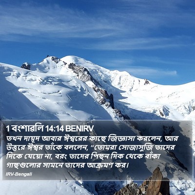 1 বংশাৱলি 14:14 BENIRV Bible Verse Image
