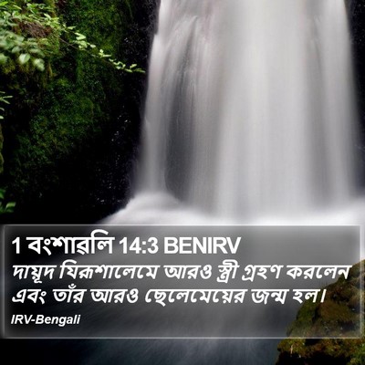 1 বংশাৱলি 14:3 BENIRV Bible Verse Image