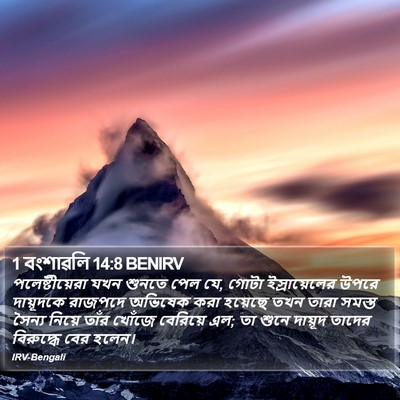 1 বংশাৱলি 14:8 BENIRV Bible Verse Image