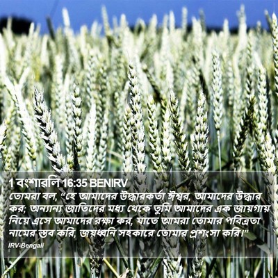 1 বংশাৱলি 16:35 BENIRV Bible Verse Image