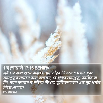 1 বংশাৱলি 17:16 BENIRV Bible Verse Image