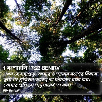 1 বংশাৱলি 17:23 BENIRV Bible Verse Image