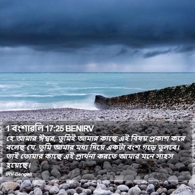 1 বংশাৱলি 17:25 BENIRV Bible Verse Image