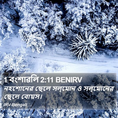 1 বংশাৱলি 2:11 BENIRV Bible Verse Image